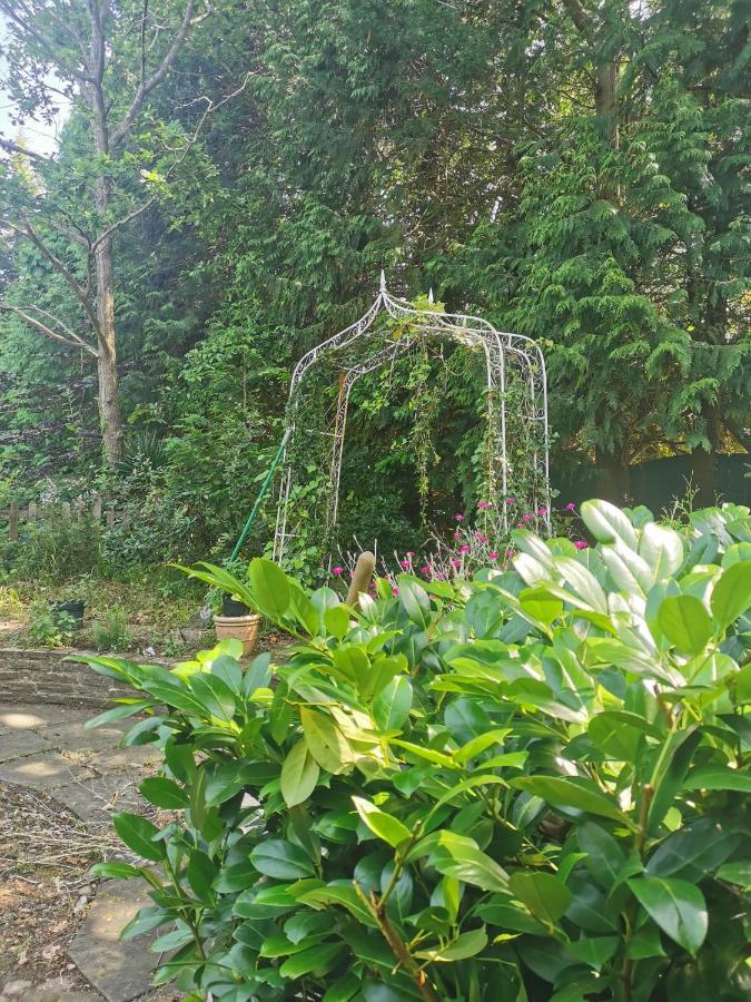 エッシャーPeaceful Retreat Hideaway Surreyアパートメント エクステリア 写真